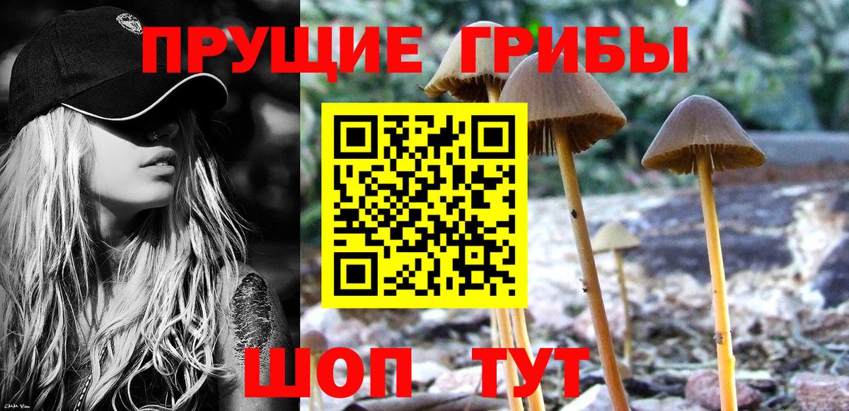 Кольчугино  наркошоп  Вход с VPN  Псилоцибиновые грибы мухоморы 