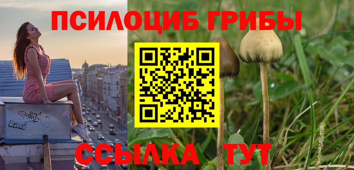 Псилоцибиновые грибы Magic Shrooms Кольчугино